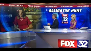 #FOX32 NEWS 07-09-19 9pm #Gator Watch 2019 at #HumboldtPark #Chicago