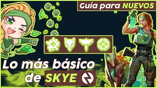 Guía de Agente Valorant: SKYE, la iniciadora veterinaria | Lo más básico (guía para nuevos)