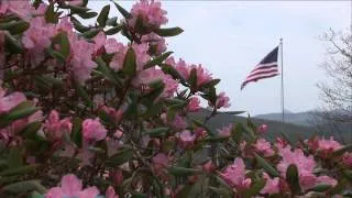 May At Grandfather Mountain