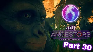 The “Ardi” Species! [Ardipithecus Ramidus] Part 30 🐵 Ancestors The Humankind Odyssey GAMEPLAY!