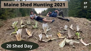 20 Moose Sheds in One Day!! --  Maine Moose Shed Hunting 2021 -- Beyond the Boundaries EP 07