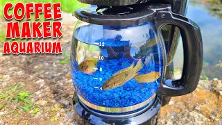 Coffee Maker Fish Aquarium! DIY