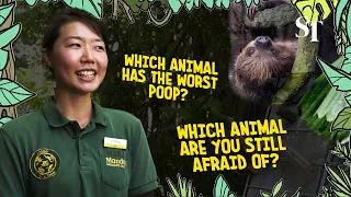 Zookeepers spill the tea! | Singapore Zoo at 50