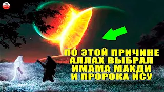 АЛЛАХ ПОКАЗАЛ ПРОРОКУ ЧТО ЖДЕТ ЛЮДЕЙ ДО КОНЦА СВЕТА  ПРИЗНАКИ КОНЦА СВЕТА ДО ПРИХОДА ИМАМА МАХДИ