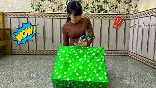 Monkey yinyin has a new surprise present