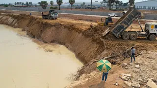 Great Working Build Road Along the Canal By Bulldozer Push Soil, Truck Moving Soil Filling Huge Pond