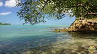 Calm And Clear Ocean Water In A Shaded Area On A Beautiful Sunny Day - Ocean ASMR - 4K UHD
