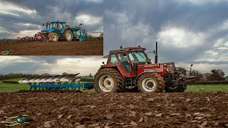 😎 Labour & Semis de blé | Fiat 140-90 + Newholland TM 140 💪