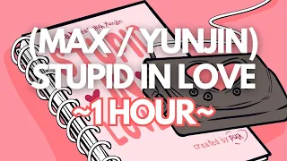 (1 HOUR) MAX - STUPID IN LOVE (ft. HUH YUNJIN)