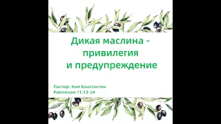 Дикая маслина - привилегия и предупреждение