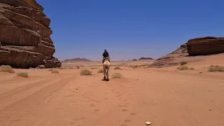 PLACES TO VISIT IN TABUK, SAUDI ARABIA أماكن للزيارة في تبوك ، المملكة العربية السعودية