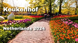 Keukenhof 2024 - Beautiful Flowers and Tulips🌷Netherlands 🇳🇱[4K]