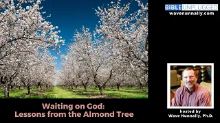 Waiting on God: Lessons from the Almond Tree