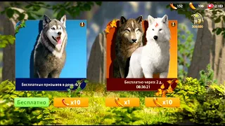 Открываю 100 Отличных Клыков😈Wolf Game:The Wild Kingdom(ранний доступ)