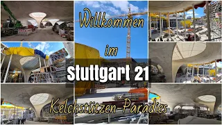 Willkommen im Kelchstützen-Paradies |Jochens Rundgang am TdoB | 16.04.22 | #S21 #stuttgart21