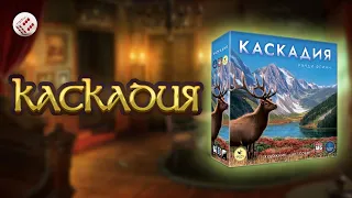 "Каскадия" - играем в настольную игру. Cascadia board game.