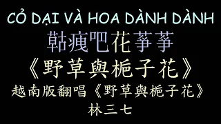 越南版翻唱《野草與梔子花》林三七 漢喃歌詞 喃漢對譯 CỎ DẠI VÀ HOA DÀNH DÀNH - ĐẶNG THANH TUYỀN | Chữ Nôm Hán Nôm | 𡨸喃 喃字 漢喃