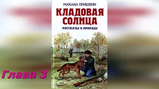 Кладовая солнца. Глава 3. М. Пришвин.