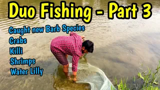 Duo Fishing - Part 3🤟, Different Barbs in this new location🔥 | River Fishing for my aquarium Tank