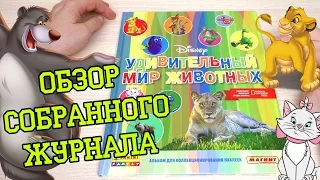 PANINI Удивительный мир животных Disney - 2016г. Обзор собранной коллекции наклеек