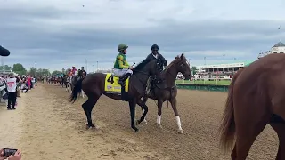 The field for the 2023 Kentucky Derby walks onto the track at Churchill Downs