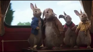 Peter Rabbit 2 Rabbit Dies.