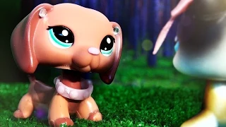 LPS: Summertime Beauty (Film)