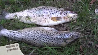 Natura si aventura: Pescuit la pastrav pe Lacul Iovanu