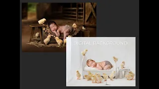 Digital Background Tutorial - Easter Spring Barnyard Chicks Shabby Chick Newborn Digital Background