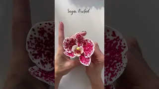 Handmade Orchid You Can Eat! ⎸ Hand Painted Sugar Flower Orchid ⎸ #shorts #gumpasteflowers