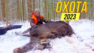 🔥 ОХОТА на ЛОСЯ 2023 / Загонная охота на лося / Розыгрыш охотничьей жилетки