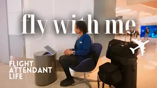 FIRST TRIP AS A HOUSTON BASED FLIGHT ATTENDANT | VLOG ✈︎ Come Fly with Me | Flight Attendant Life