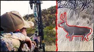 OTC Arizona Mule Deer Hunt.  || CACCIA OUTDOORS