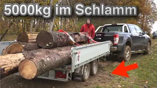 Langholz-Transport geht schief! Warum man Holz nicht im Herbst holen sollte...