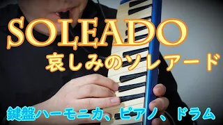 【SOLEADO 哀しみのソレアード】鍵盤ハーモニカ、ピアノ、ドラム