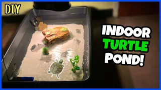 DIY Mini Indoor TURTLE POND!