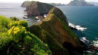 Channel Islands National Park - Treasure in the Sea