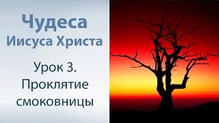 Чудеса Иисуса Христа - 3. Проклятие смоковницы