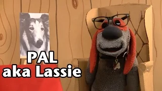 Pal a.k.a. Lassie - Famous Dogs of History #111