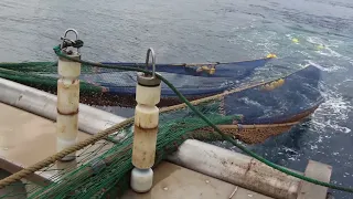CATALÍ SEGON pesca d'ARROSSEGAMENT