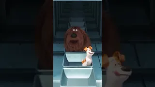 The Secret Life of Pets   Sausage Factory Scene 5 10 #hollywoodstar #hollywoodactress #actor #Shorts