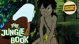 The Jungle Book // Episode 41 // Free Cartoons for Kids // Adventure Toons // Animated Series