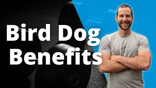 Bird Dog Benefits | What Muscles does the Bird Dog Train?