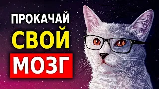 10 Правил Остроты Ума (Как Стать Умнее и Прокачать Мозг)