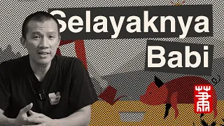 Selayaknya Babi