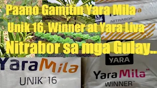 How to Apply Yara Fertilizers in Vegetables. #Unik 16 #Nitrabor #Winner #requestedvid