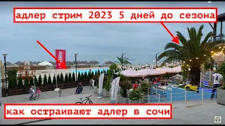 АДЛЕР СТРИМ  2023 / ЗАКАТ МАНДАРИН СОЧИФОРНИЯ ЖИВАЯ МУЗЫКА