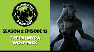 Strangeology Podcast S02E13 - The Palmyra Wolf Pack