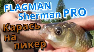 FLAGMAN Sherman PRO. Это лучший ПИКЕР для поимки КАРАСЯ! Я в восторге!