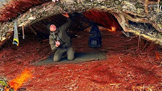 Building a Reed Shelter Waterproof | Bushcraft in the Secret Place | Start to Finish Construction